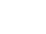 Shoe icon.